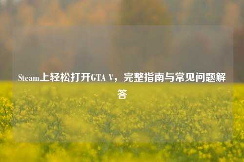 Steam上轻松打开GTA V，完整指南与常见问题解答