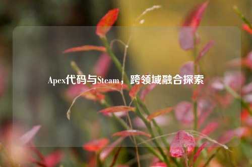 Apex代码与Steam，跨领域融合探索