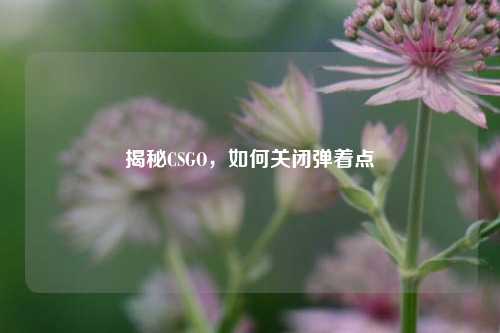 揭秘CSGO，如何关闭弹着点