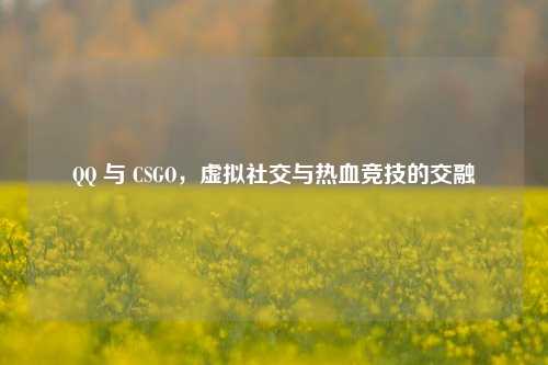 QQ 与 CSGO，虚拟社交与热血竞技的交融