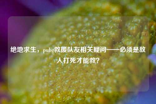 绝地求生，pubg救援队友相关疑问——必须是敌人打死才能救？