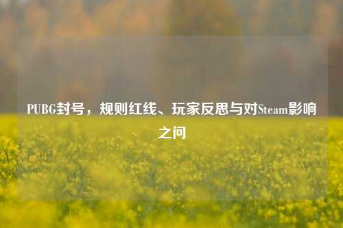 PUBG封号，规则红线、玩家反思与对Steam影响之问