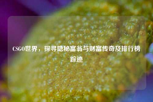 CSGO世界，探寻隐秘富翁与财富传奇及排行榜踪迹