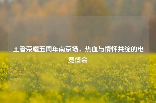 王者荣耀五周年南京场，热血与情怀共绽的电竞盛会