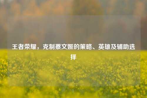 王者荣耀，克制蔡文姬的策略、英雄及辅助选择