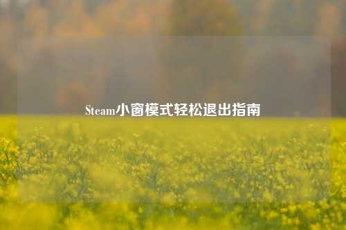 Steam小窗模式轻松退出指南
