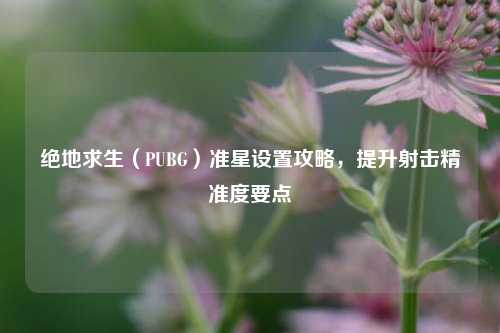 绝地求生（PUBG）准星设置攻略，提升射击精准度要点