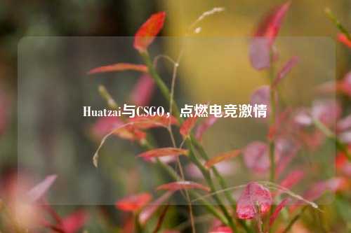 Huatzai与CSGO，点燃电竞激情
