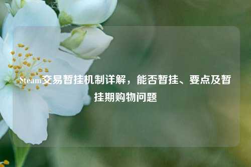 Steam交易暂挂机制详解，能否暂挂、要点及暂挂期购物问题