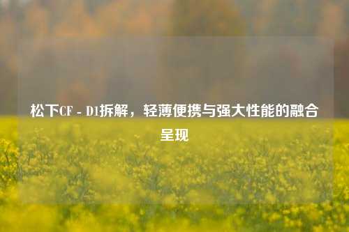 松下CF - D1拆解，轻薄便携与强大性能的融合呈现