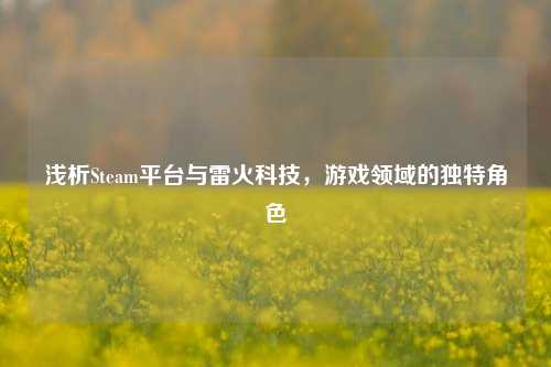 浅析Steam平台与雷火科技，游戏领域的独特角色