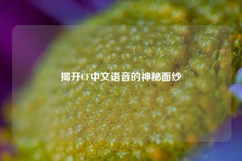 揭开CF中文语音的神秘面纱
