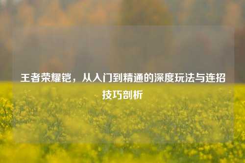 王者荣耀铠，从入门到精通的深度玩法与连招技巧剖析