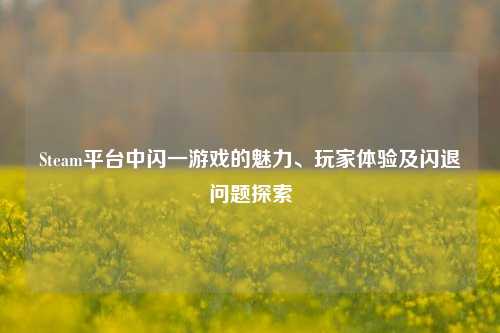 Steam平台中闪一游戏的魅力、玩家体验及闪退问题探索