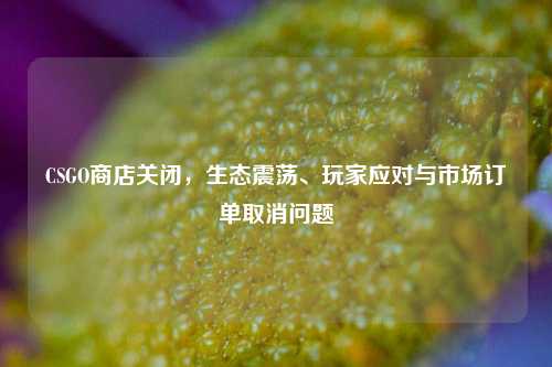 CSGO商店关闭，生态震荡、玩家应对与市场订单取消问题