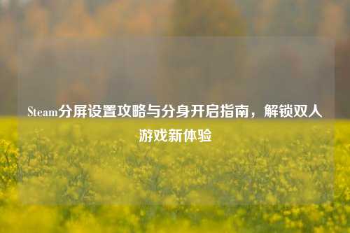 Steam分屏设置攻略与分身开启指南，解锁双人游戏新体验