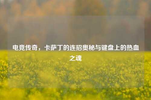 电竞传奇，卡萨丁的连招奥秘与键盘上的热血之魂