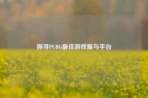 探寻PUBG最佳游戏服与平台
