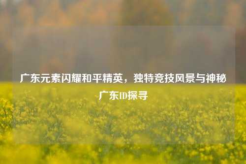广东元素闪耀和平精英，独特竞技风景与神秘广东ID探寻