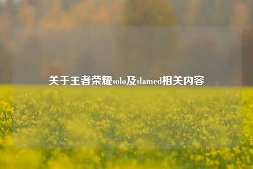 关于王者荣耀solo及slamed相关内容