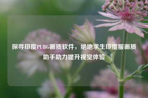 探寻印度PUBG画质软件，绝地求生印度服画质助手助力提升视觉体验