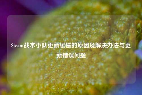 Steam战术小队更新缓慢的原因及解决办法与更新错误问题