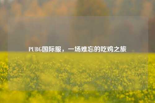 PUBG国际服，一场难忘的吃鸡之旅