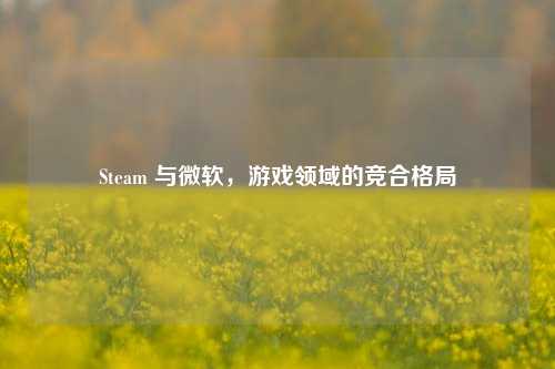 Steam 与微软，游戏领域的竞合格局