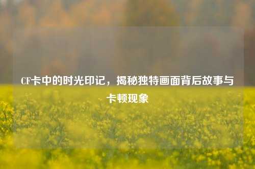 CF卡中的时光印记，揭秘独特画面背后故事与卡顿现象