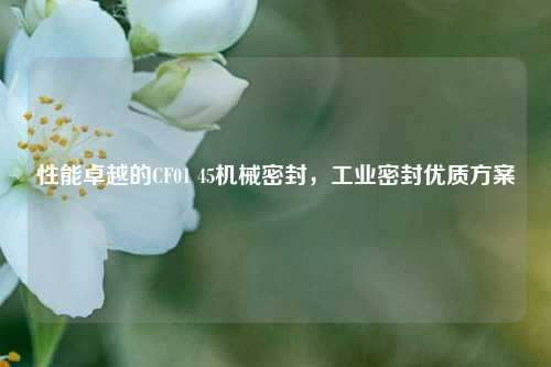 性能卓越的CF01 45机械密封，工业密封优质方案