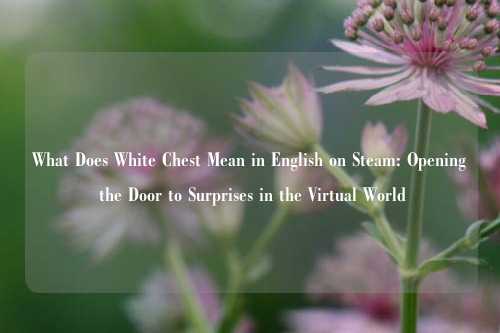 What Does White Chest Mean in English on Steam: Opening the Door to Surprises in the Virtual World