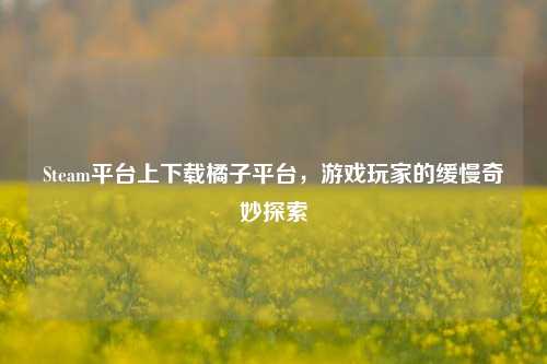 Steam平台上下载橘子平台，游戏玩家的缓慢奇妙探索