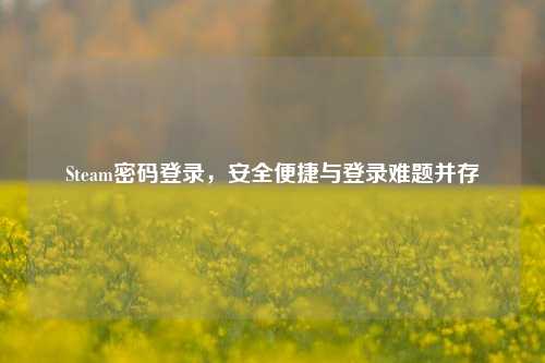 Steam密码登录，安全便捷与登录难题并存