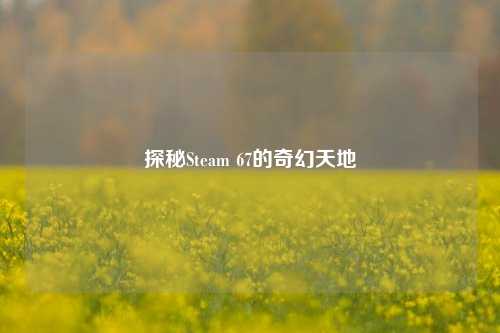 探秘Steam 67的奇幻天地