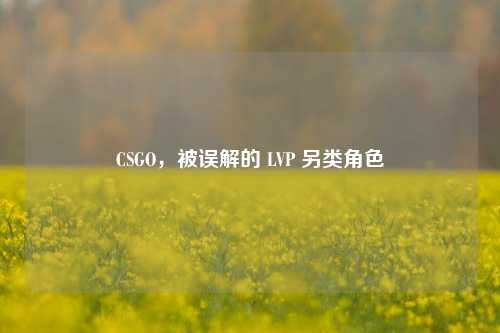 CSGO，被误解的 LVP 另类角色