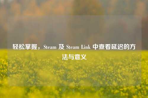 轻松掌握，Steam 及 Steam Link 中查看延迟的方法与意义