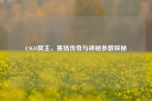 CSGO冥主，赛场传奇与神秘参数探秘