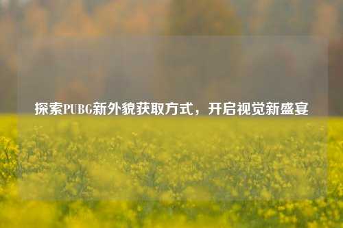 探索PUBG新外貌获取方式，开启视觉新盛宴