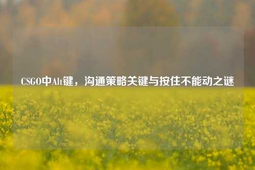 CSGO中Alt键，沟通策略关键与按住不能动之谜