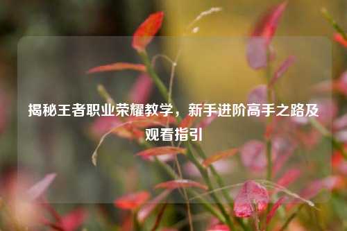 揭秘王者职业荣耀教学，新手进阶高手之路及观看指引