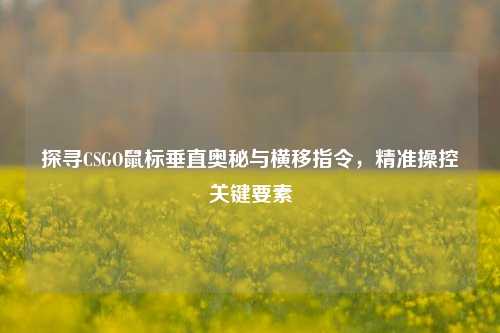 探寻CSGO鼠标垂直奥秘与横移指令，精准操控关键要素