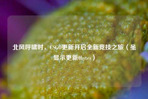 北风呼啸时，CSGO更新开启全新竞技之旅（虽显示更新0bytes）