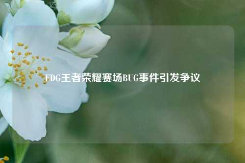 EDG王者荣耀赛场BUG事件引发争议