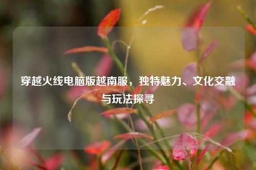 穿越火线电脑版越南服，独特魅力、文化交融与玩法探寻