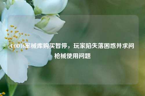 COD16军械库购买暂停，玩家陷失落困惑并求问枪械使用问题