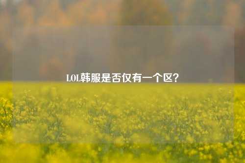 LOL韩服是否仅有一个区?