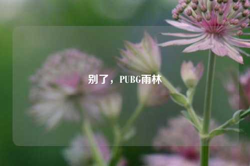 别了,PUBG雨林