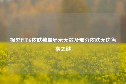 探究PUBG皮肤数量显示无效及部分皮肤无法售卖之谜