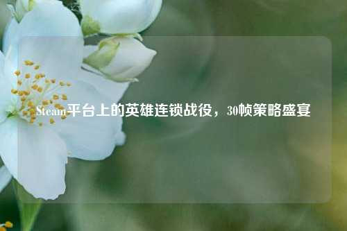 Steam平台上的英雄连锁战役，30帧策略盛宴