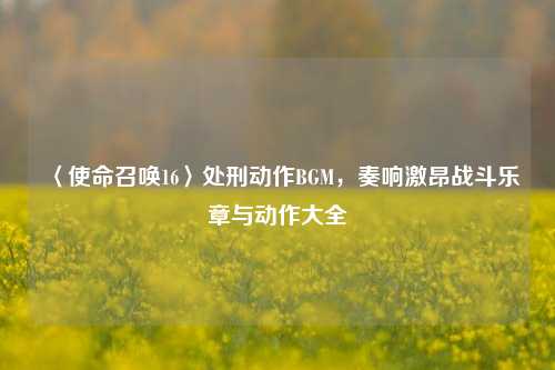 〈使命召唤16〉处刑动作BGM，奏响激昂战斗乐章与动作大全